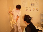 一般整体のイメージ